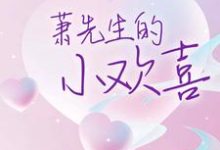 主人公许菀萧靖川小说萧先生的小欢喜在线章节阅读-艾米文学