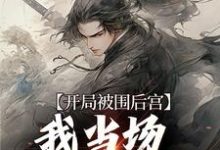 哪里能找到开局被围后宫，我当场登基为帝小说的最新更新和免费章节？-艾米文学
