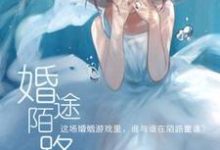 婚途陌路章节免费在线阅读，苏霁月秦曜辰完结版-艾米文学