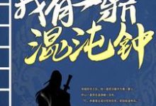 小说《我有一鼎混沌钟》章节免费阅读-艾米文学