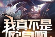 徐平安迷路少女的小说在哪里看?免费在线阅读我真不是欧皇啊-艾米文学