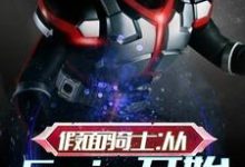 假面骑士：从Faiz开始小说的免费电子版在哪里可以下载或阅读？-艾米文学