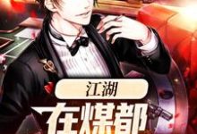 苏合为主角的小说江湖:在煤都奋斗的日子在线阅读-艾米文学