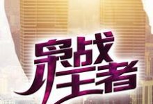 枭战王者章节免费在线阅读，吴年柳香完结版-艾米文学