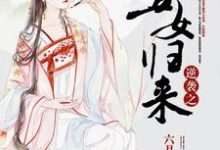 小说《逆袭之丑女归来》章节免费阅读-艾米文学