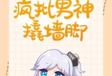 主角伊柠小说完结版在线阅读，快穿：总有疯批男神撬墙脚免费看-艾米文学