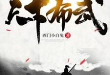 完结版《天下布武》章节阅读-艾米文学