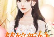 替嫁新娘免费阅读，替嫁新娘章节在线阅读-艾米文学