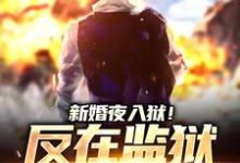 新婚夜入狱！反在监狱成大佬小说最新更新在哪里？免费在线看-艾米文学
