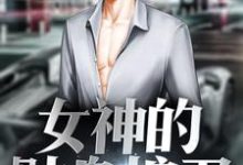 免费看女神的贴身护卫小说的网站有哪些?-艾米文学