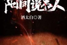 阳间说书人小说，阳间说书人张玉梵沅芷-艾米文学