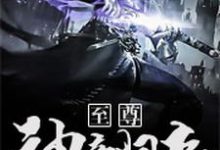 至尊神帝归来小说的最新章节在哪里更新？免费追踪阅读-艾米文学