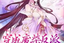 已完结小说《穿成废柴反派,我狂撩女主》在线章节阅读-艾米文学