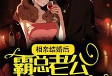 免费看相亲结婚后,霸总老公实力护妻小说的网站有哪些?-艾米文学