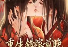 苏蒹葭沈鹤亭为主角的小说好看吗？求重生错嫁前晚，我找上前夫他爹免费试读-艾米文学