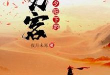 想读姜离陆香妍的故事，哪里可以免费找到夕阳下的刀客？-艾米文学