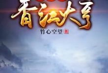《重生之香江大亨》小说章节列表免费试读，王心刚小说在线阅读-艾米文学