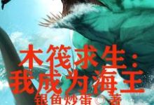 丁铁是哪本书的主角？寻找木筏求生，我成为海王免费阅读-艾米文学