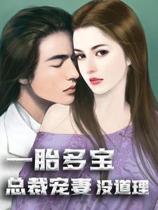 一胎多宝：总裁宠妻没道理章节免费在线阅读，秦漫漫傅修寒秦熙凝秦小泽完结版