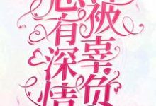 已完结小说《总有深情被辜负》章节在线阅读-艾米文学