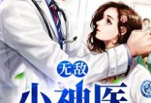 无敌小神医免费阅读，无敌小神医章节在线阅读-艾米文学