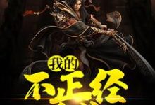小说《我的不正经系统》在线章节阅读-艾米文学