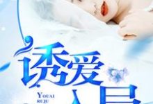 诱爱入局小说最新更新在哪里?免费在线看-艾米文学