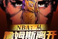 NBA:从詹姆斯离开骑士开始小说有没有完整的免费版本在线阅读?-艾米文学
