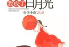 主角叫隋美玉陈涯的小说在哪阅读-艾米文学