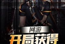 苏九夜是哪本书的主角？网游：开局获得SSS级天赋免费读-艾米文学
