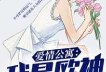 秦凡诸葛大力小黑是哪本书的主角?寻找爱情公寓:我是欧神免费阅读-艾米文学