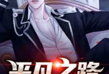完结版《平凡之路》章节阅读-艾米文学