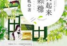 主人公叫辛暖陆景一薛朵儿白辰的小说哪里免费看-艾米文学