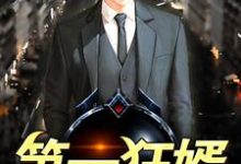 在线寻找第一狂婿小说的无删减版本-艾米文学