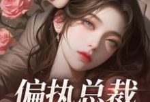偏执总裁不好惹小说免费资源，偏执总裁不好惹在线阅读-艾米文学