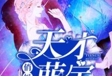苏橙冷冥小说在哪里可以看-艾米文学