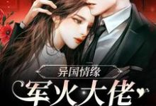 小说《异国情缘：军火大佬爱上小作精》章节免费阅读-艾米文学