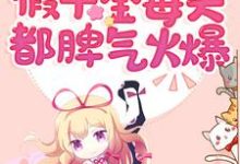 言之之宁安安小说在线章节免费阅读(快穿:假千金每天都脾气火爆无弹窗无删减)-艾米文学