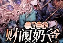 小说《一胎三宝：财阀奶爸超会宠！》章节免费阅读-艾米文学