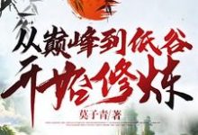 完结版《从巅峰到低谷开始修炼》免费阅读-艾米文学