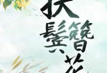 扶鬓簪花沈归舟陈穆愉小说免费阅读-艾米文学