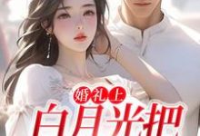 在线搜索沈矜陈槿之的完整小说，免费阅读婚礼上，白月光把男友截胡了-艾米文学