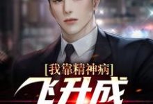 已完结小说《我靠精神病飞升成毒辣杀手》章节免费阅读-艾米文学