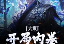 朱棡为主角的小说叫什么？免费看大明：开局内卷，我渔翁得利-艾米文学
