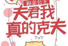 萧瑶宇文清小说叫什么（和亲公主：夫君，我真的克夫！免费阅读）-艾米文学