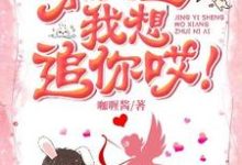 求景医生我想追你哎！小说的全文免费阅读链接-艾米文学