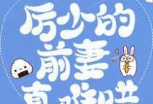 江阮阮厉薄深的故事在哪本书里？免费阅读豪门弃妇：厉少的前妻真难哄-艾米文学