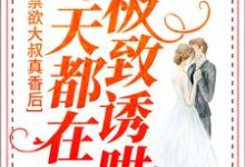 已完结小说《禁欲大叔真香后，每天都在极致诱哄》章节免费阅读-艾米文学