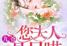 九爷，您夫人是只喵小说完结版章节免费阅读-艾米文学
