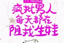 怀崽后，疯批男人每天都在阻我生娃（江稚沈律言）在线免费阅读-艾米文学